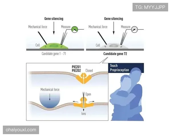 乔纳森·戴维在强强对话中的关键作用与表现机制